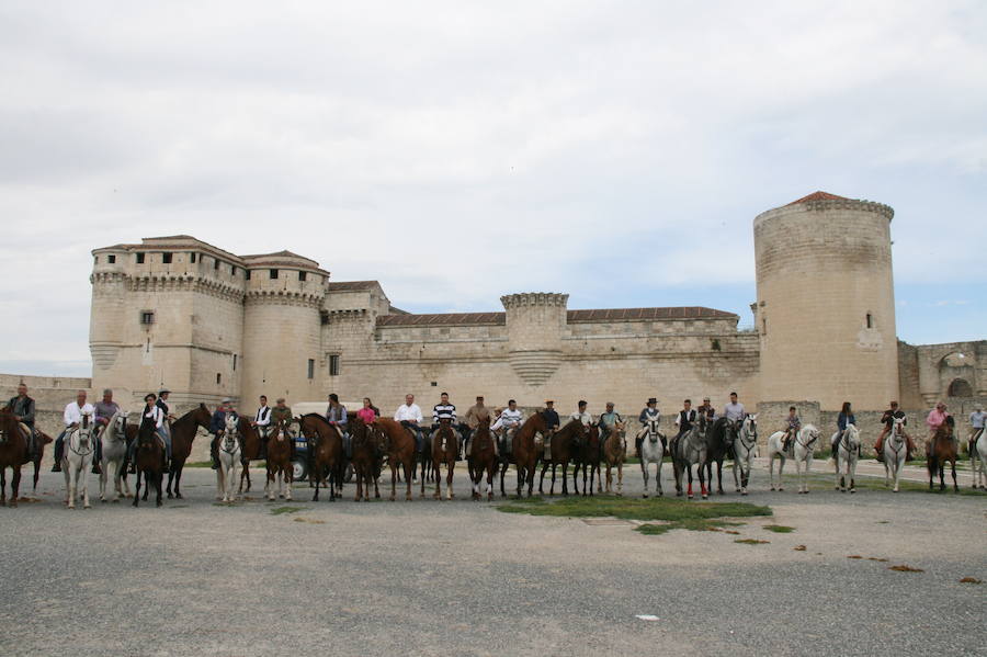 Fotos: Feria del caballo en Cuéllar