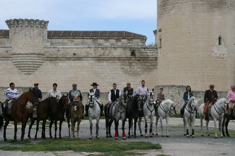 Fotos: Feria del caballo en Cuéllar