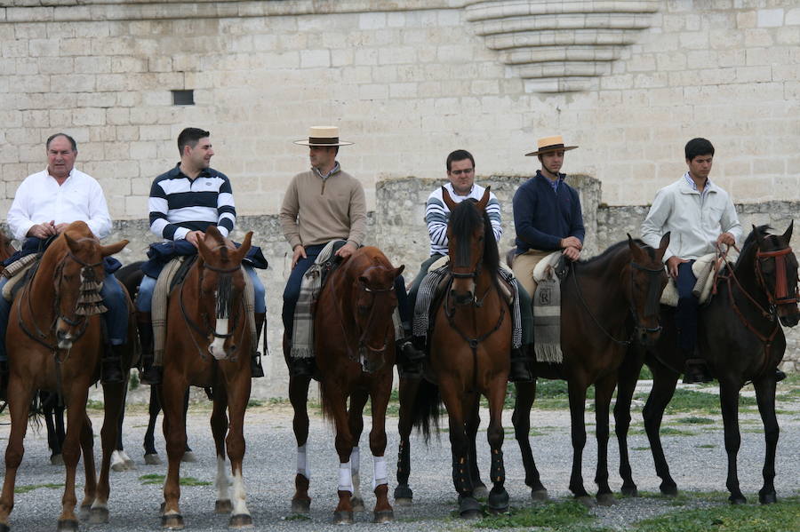 Fotos: Feria del caballo en Cuéllar