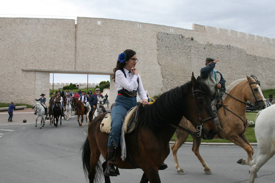 Fotos: Feria del caballo en Cuéllar