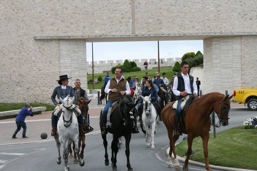 Fotos: Feria del caballo en Cuéllar