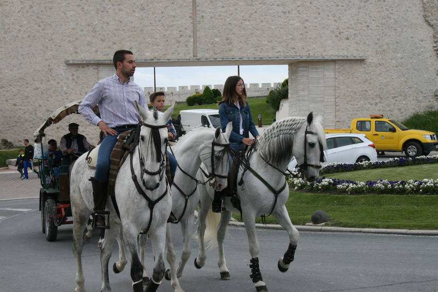 Fotos: Feria del caballo en Cuéllar