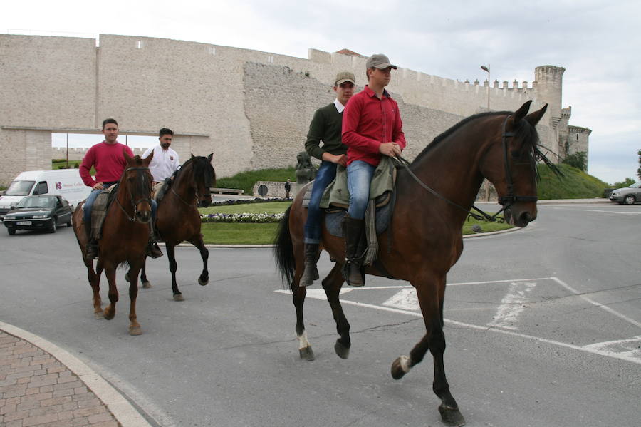 Fotos: Feria del caballo en Cuéllar