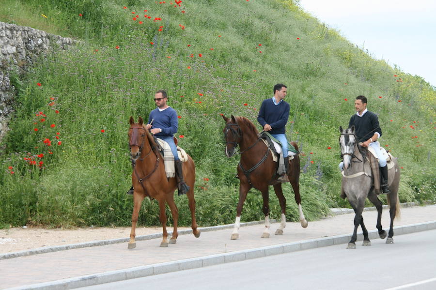 Fotos: Feria del caballo en Cuéllar
