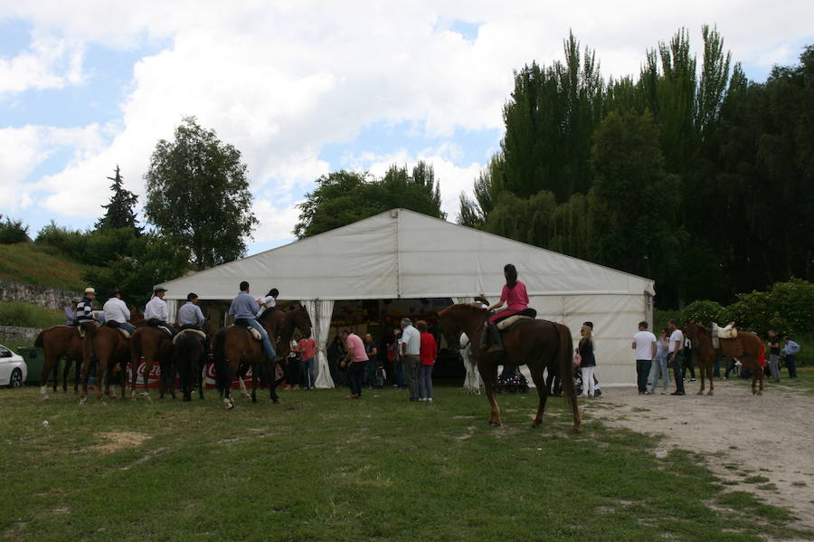 Fotos: Feria del caballo en Cuéllar