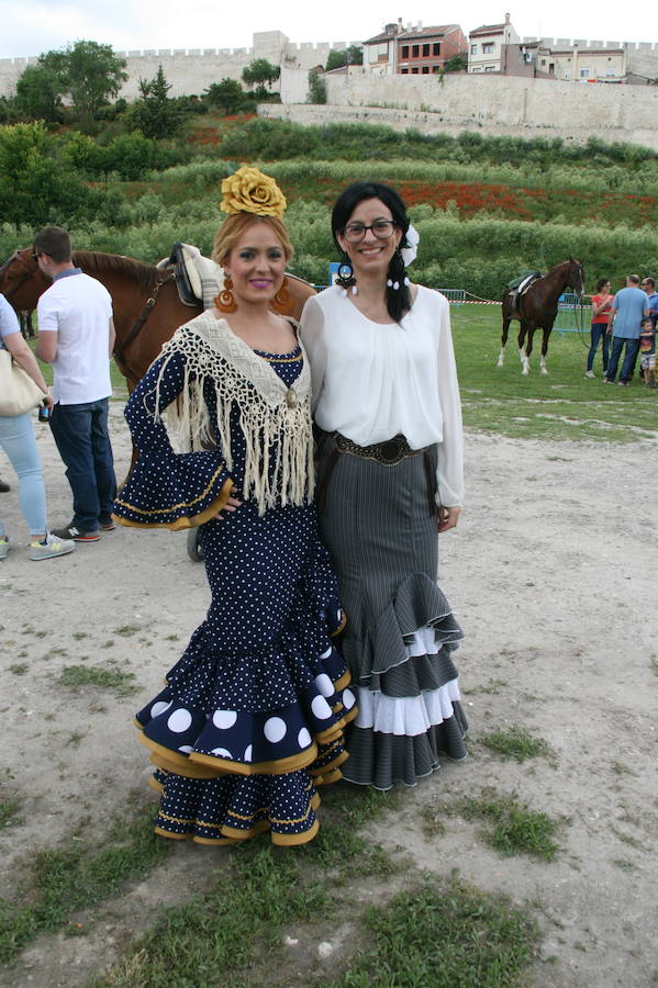 Fotos: Feria del caballo en Cuéllar