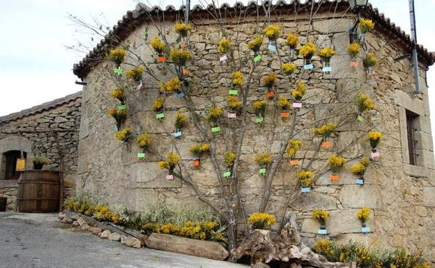 : Gredos se viste de amarillo con la decoración de los pueblos participantes en el Festival Piorno en Flor 2018. 