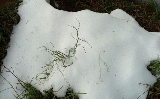 Una fuerte tormenta de granizo daña cultivos en la zona de Arévalo