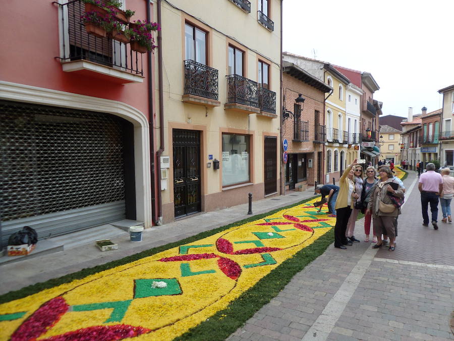 Fotos: Corpus Christi en Carrión