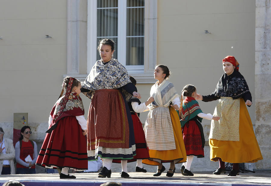 Fotos: Festival de Danzas de la feria Chica