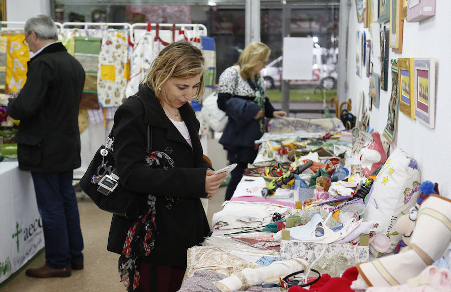 Fotos: XVI Mercadillo Solidario de la AECC de Palencia