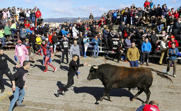 Uno de los encierros del pasado carnaval. 