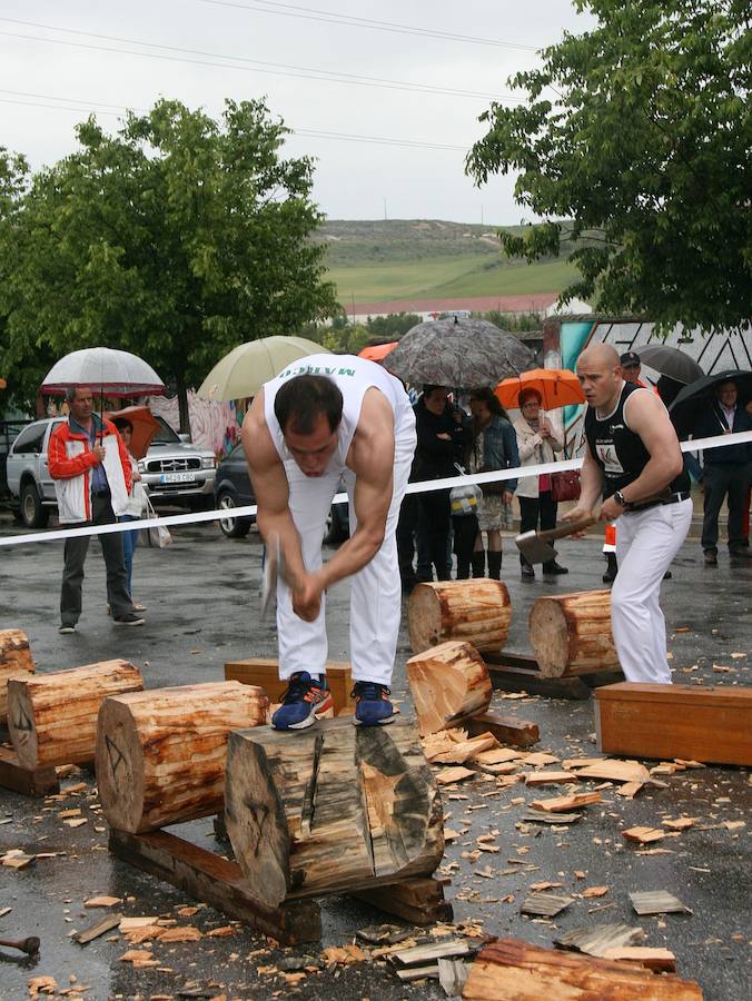 Fotos: Día de la Provincia en Cuéllar