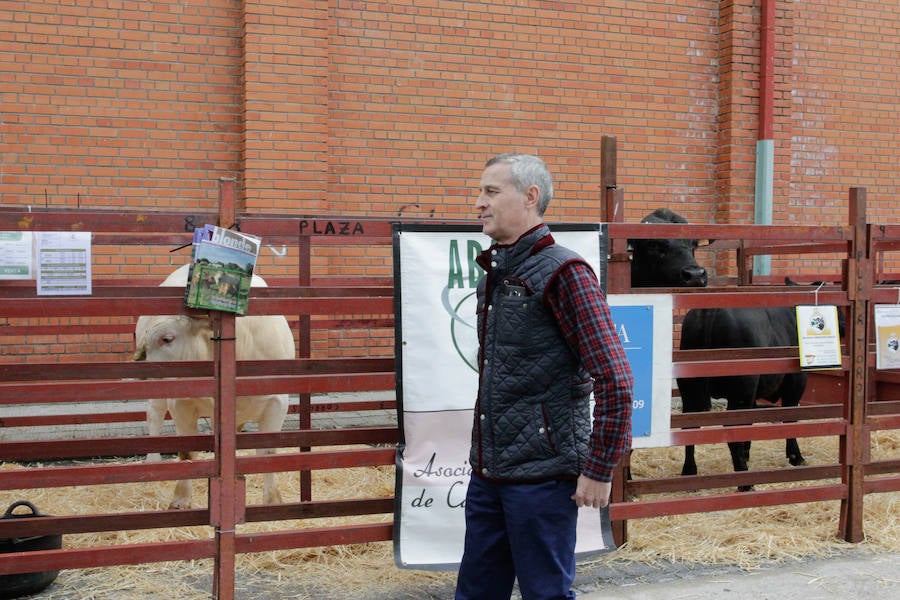 Fotos: Feria Agroganadera de Alba de Tormes
