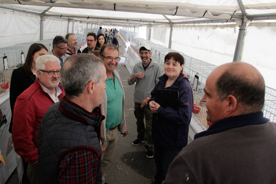 Fotos: Feria Agroganadera de Alba de Tormes