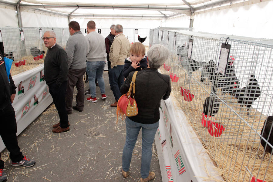 Fotos: Feria Agroganadera de Alba de Tormes