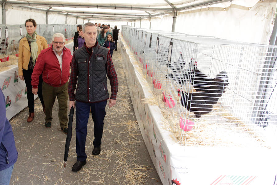 Fotos: Feria Agroganadera de Alba de Tormes