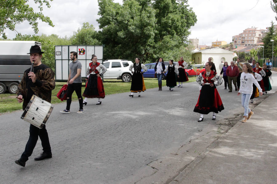 Fotos: Feria Agroganadera de Alba de Tormes