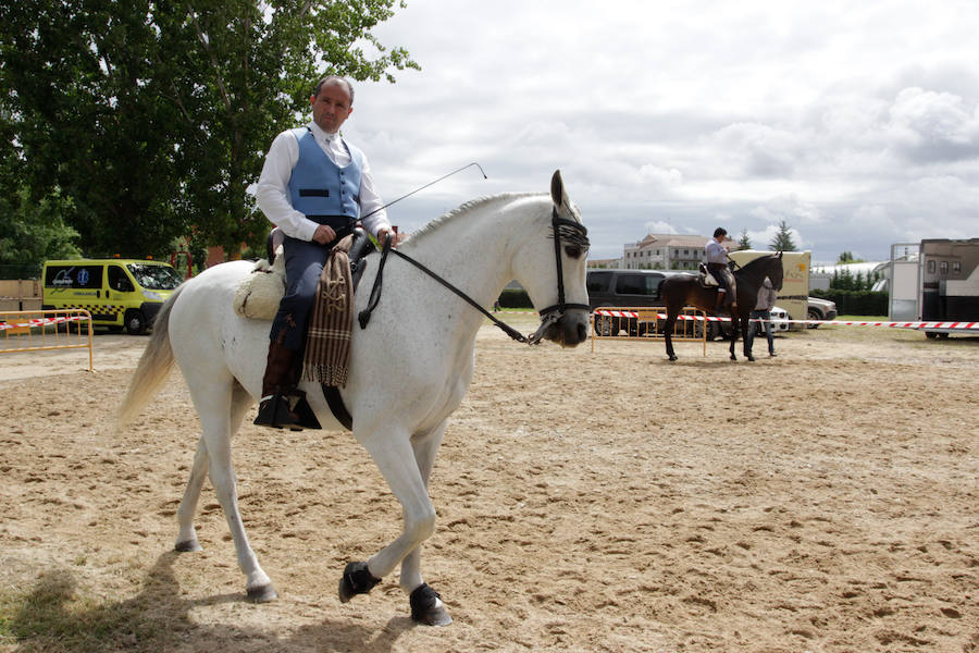 Fotos: Feria Agroganadera de Alba de Tormes