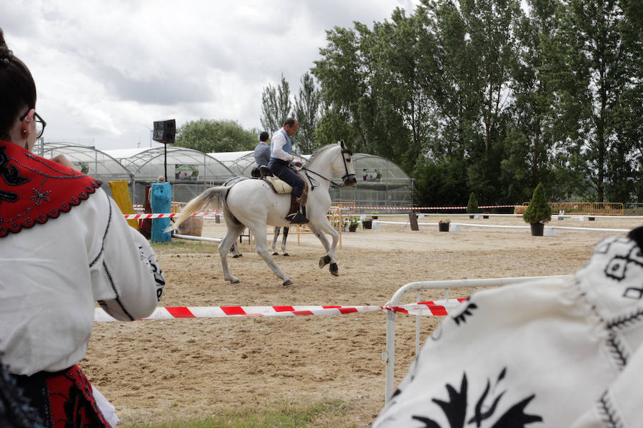 Fotos: Feria Agroganadera de Alba de Tormes