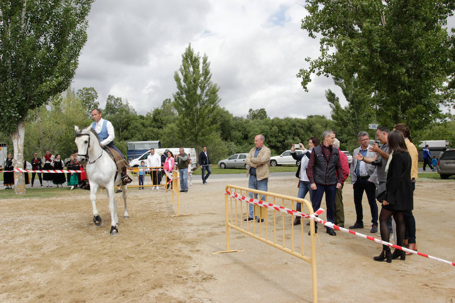 Fotos: Feria Agroganadera de Alba de Tormes