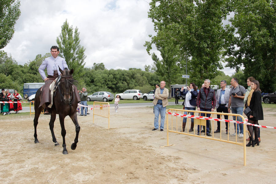 Fotos: Feria Agroganadera de Alba de Tormes