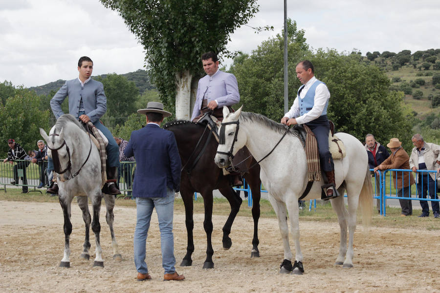 Fotos: Feria Agroganadera de Alba de Tormes