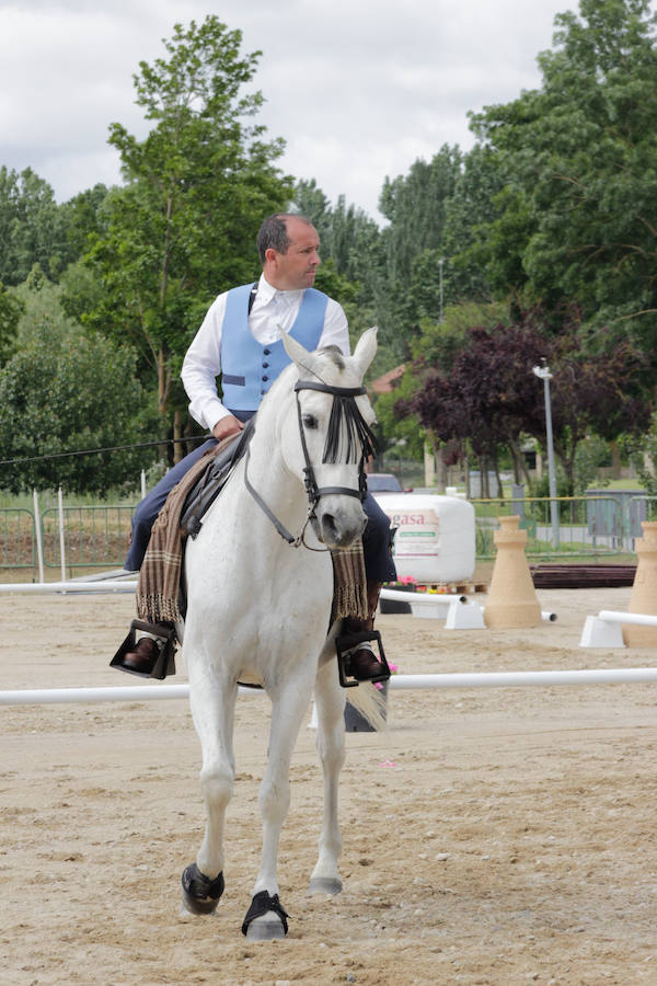 Fotos: Feria Agroganadera de Alba de Tormes