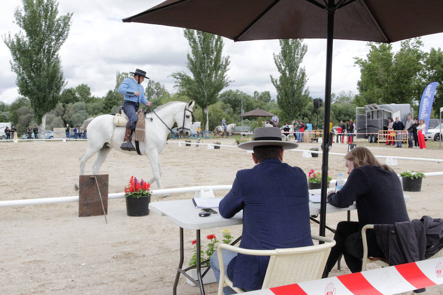 Fotos: Feria Agroganadera de Alba de Tormes