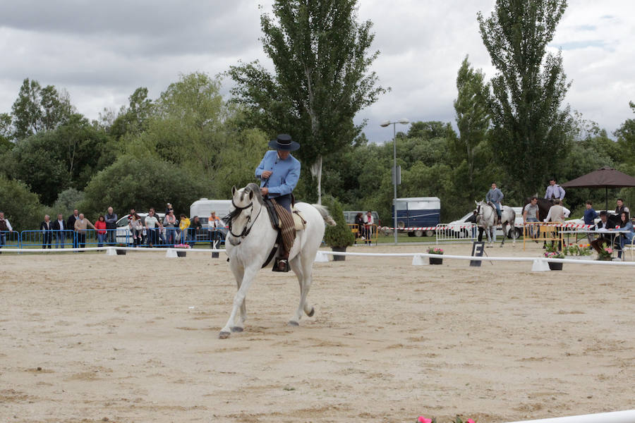 Fotos: Feria Agroganadera de Alba de Tormes