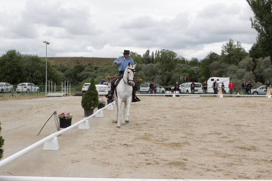 Fotos: Feria Agroganadera de Alba de Tormes