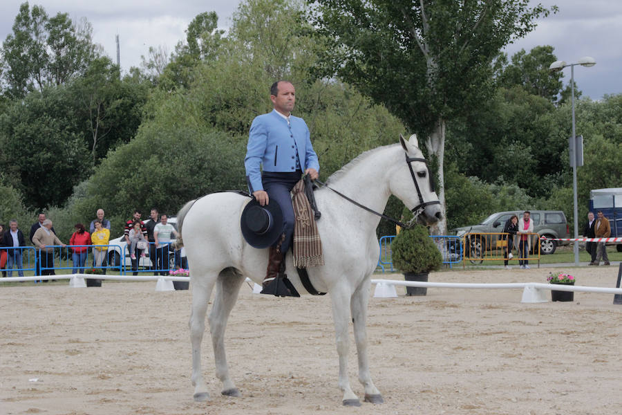 Fotos: Feria Agroganadera de Alba de Tormes
