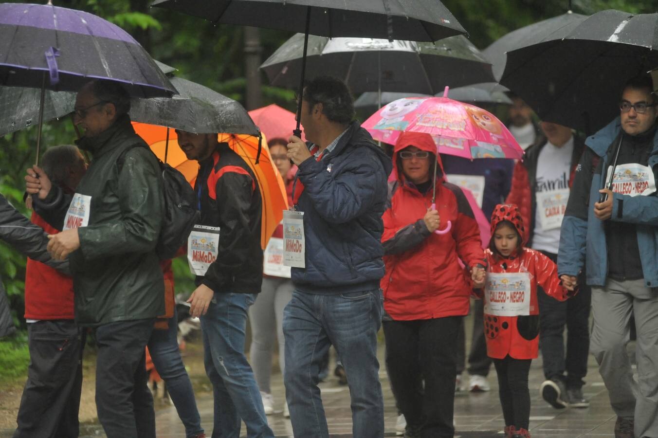 Fotos: VI Día de la Familia en Marcha Caixabank