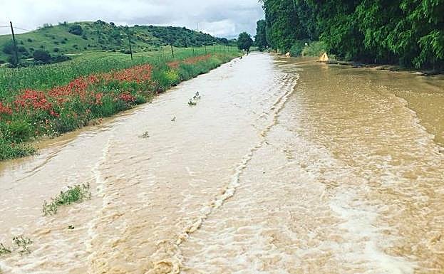 Carretera de Pollos.