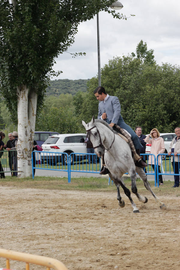 El mayor número de cabezas de ganado y de visitantes animan al alcalde a seguir apostando por un evento «que cada año ha ido a más»