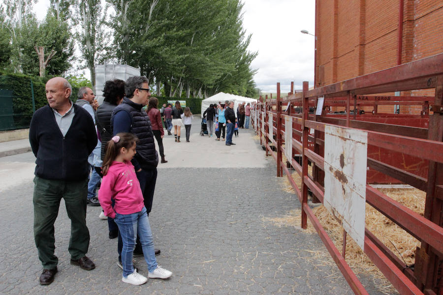 El mayor número de cabezas de ganado y de visitantes animan al alcalde a seguir apostando por un evento «que cada año ha ido a más»