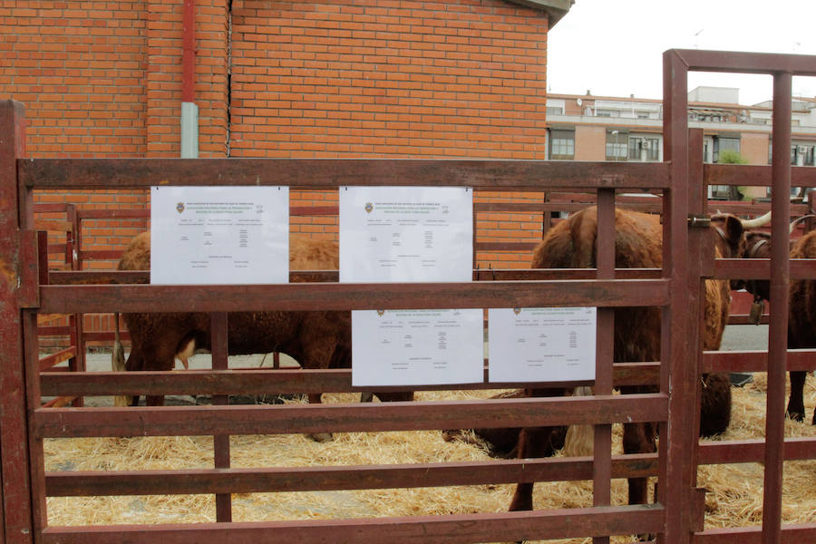 El mayor número de cabezas de ganado y de visitantes animan al alcalde a seguir apostando por un evento «que cada año ha ido a más»