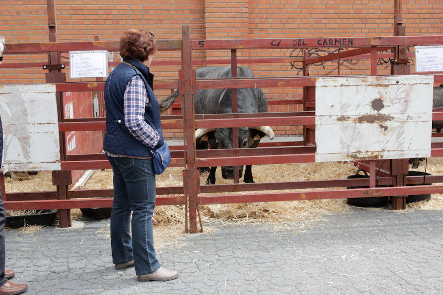El mayor número de cabezas de ganado y de visitantes animan al alcalde a seguir apostando por un evento «que cada año ha ido a más»