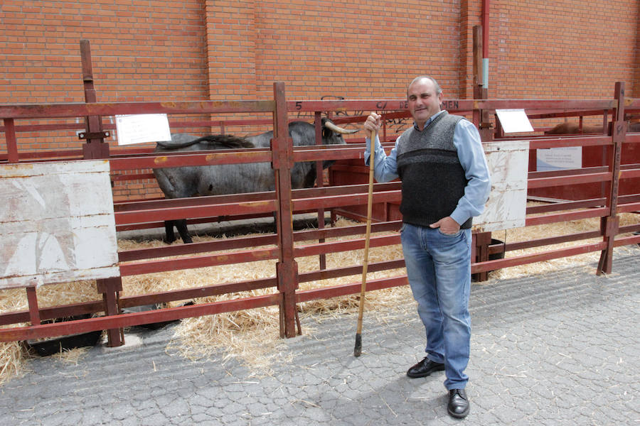 El mayor número de cabezas de ganado y de visitantes animan al alcalde a seguir apostando por un evento «que cada año ha ido a más»