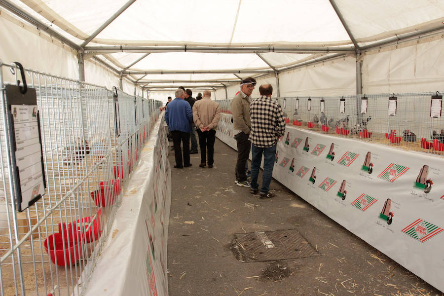 El mayor número de cabezas de ganado y de visitantes animan al alcalde a seguir apostando por un evento «que cada año ha ido a más»