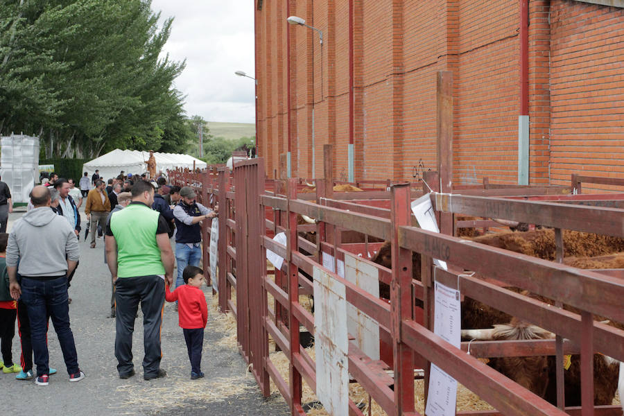 El mayor número de cabezas de ganado y de visitantes animan al alcalde a seguir apostando por un evento «que cada año ha ido a más»