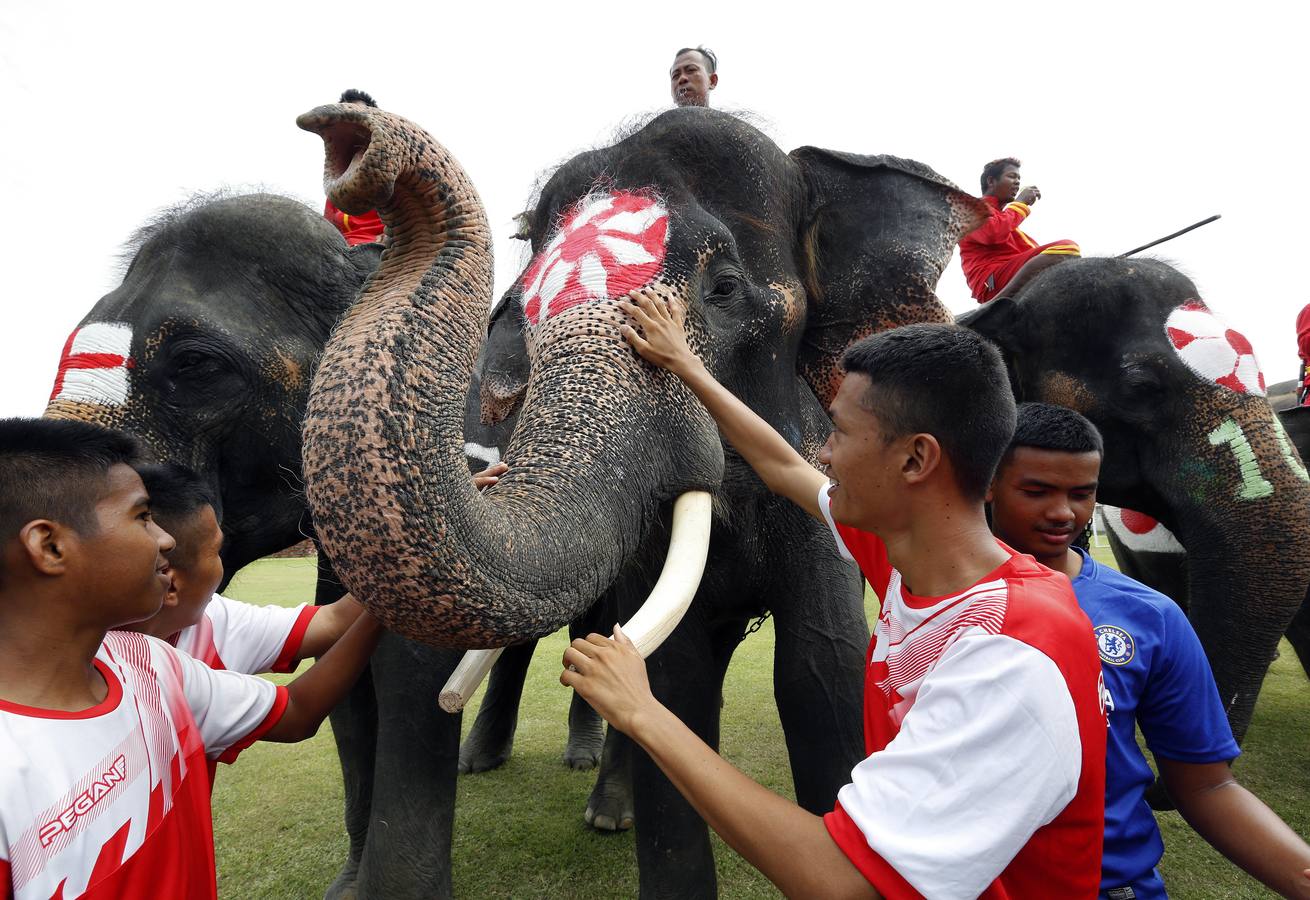 Elefantes y sus entrenadores juegan al fútbol con estudiantes durante un evento promocional de la Copa Mundial de la FIFA 2018 en una escuela en la provincia de Ayutthaya, al norte de Bangkok (Tailandia)