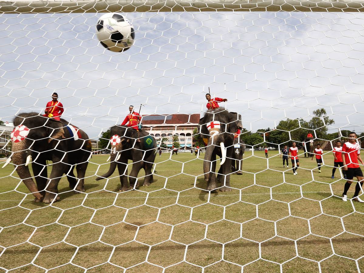 Elefantes y sus entrenadores juegan al fútbol con estudiantes durante un evento promocional de la Copa Mundial de la FIFA 2018 en una escuela en la provincia de Ayutthaya, al norte de Bangkok (Tailandia)