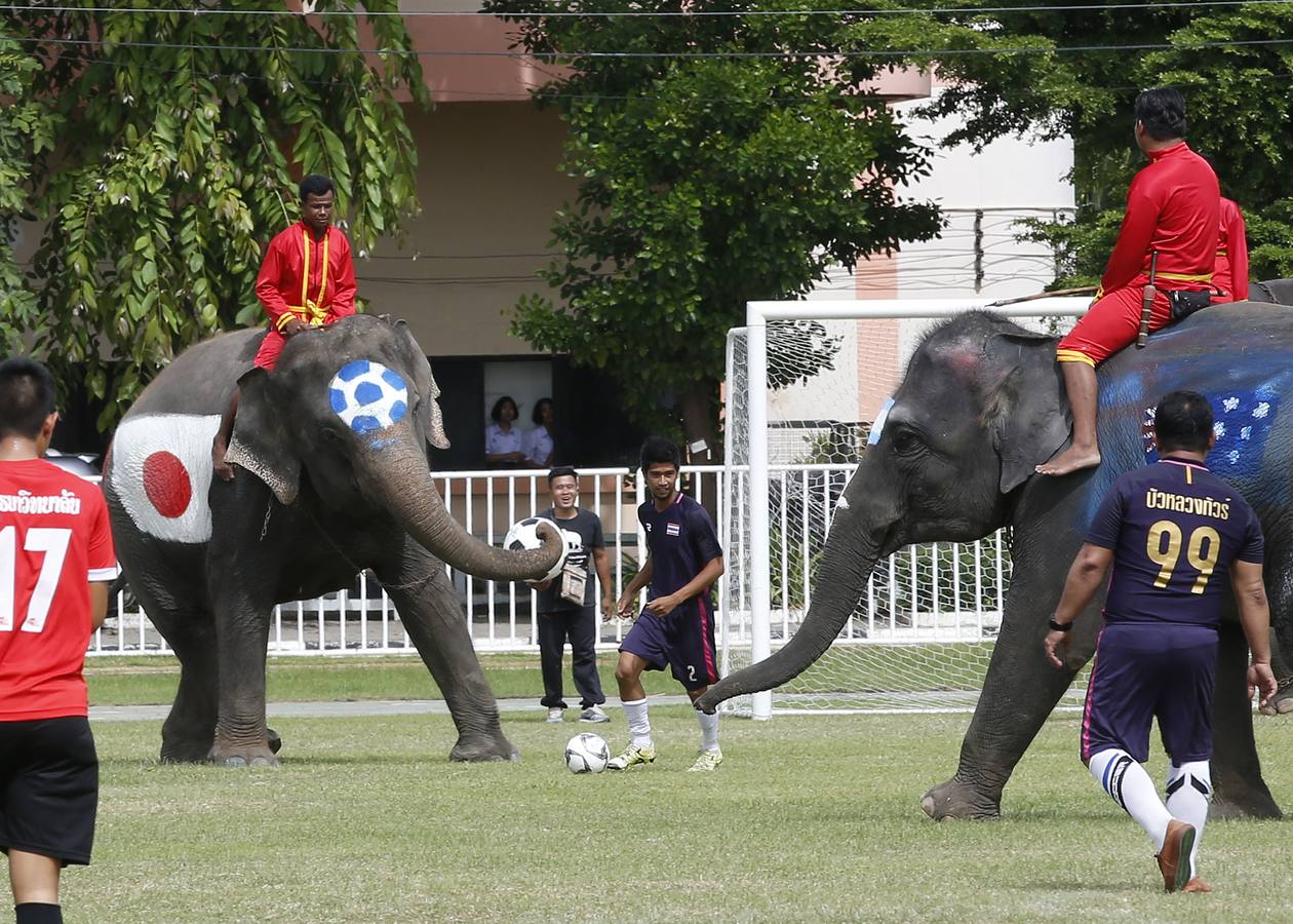 Elefantes y sus entrenadores juegan al fútbol con estudiantes durante un evento promocional de la Copa Mundial de la FIFA 2018 en una escuela en la provincia de Ayutthaya, al norte de Bangkok (Tailandia)