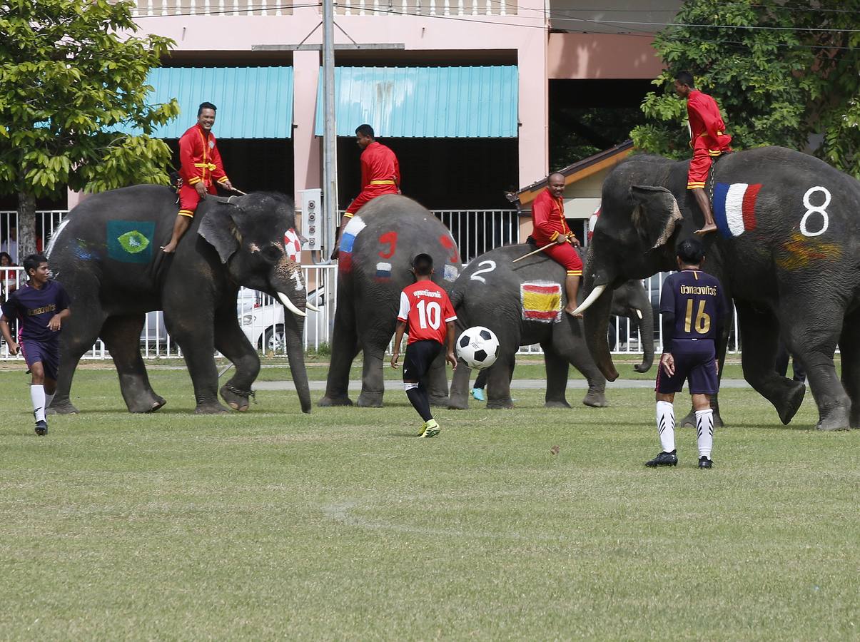 Elefantes y sus entrenadores juegan al fútbol con estudiantes durante un evento promocional de la Copa Mundial de la FIFA 2018 en una escuela en la provincia de Ayutthaya, al norte de Bangkok (Tailandia)