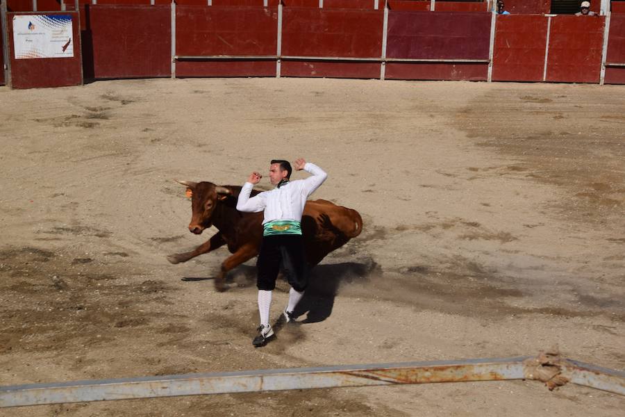 Fotos: Espectáculo de cortes en Guardo