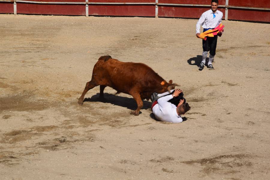 Fotos: Espectáculo de cortes en Guardo