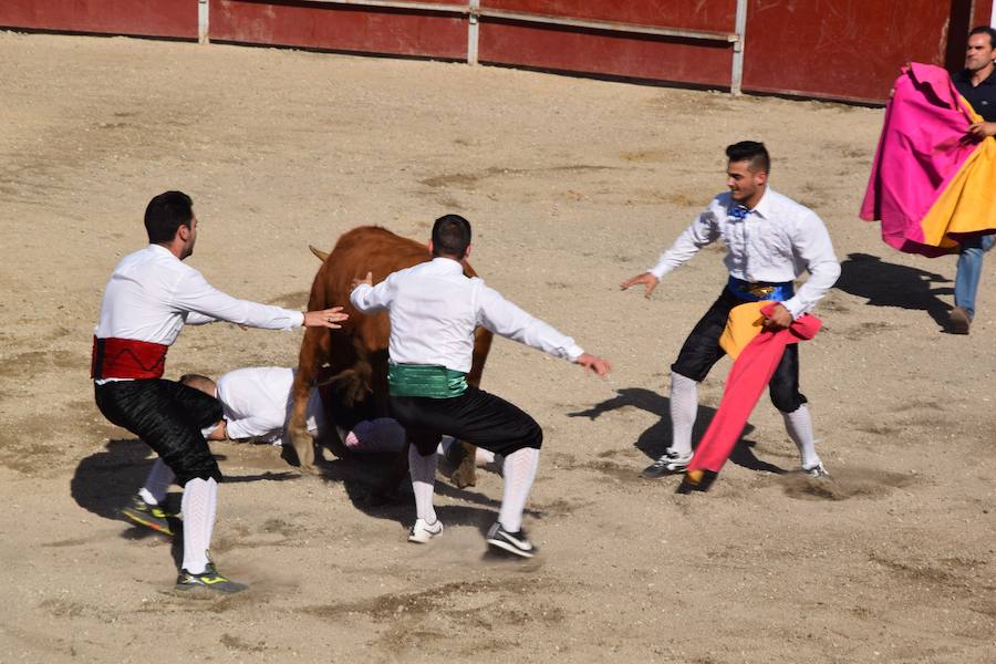 Fotos: Espectáculo de cortes en Guardo