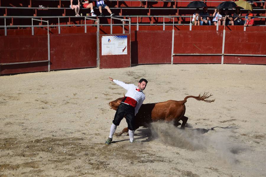 Fotos: Espectáculo de cortes en Guardo