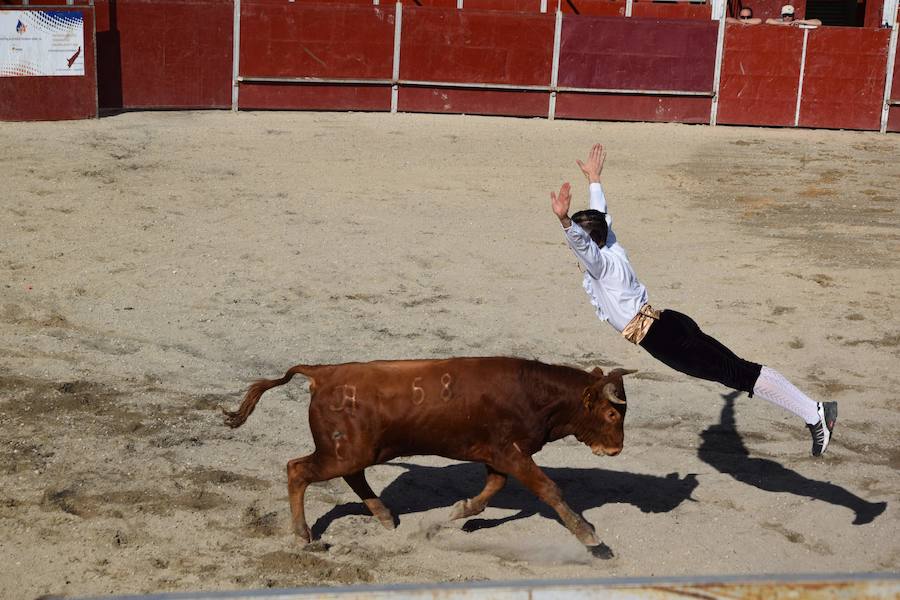 Fotos: Espectáculo de cortes en Guardo